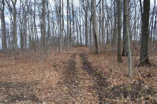 Property photo 63 - 98+/- Acres Offered in 6 Tracts or Combinations, Noble County, Indiana Farm